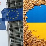 Єврокомісія продовжила заборону на ввезення зерна з України до п’яти країн