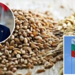 “Я не веду переговорів з терористами”: прем’єр Болгарії розкритикував фермерів, які виступають проти імпорту українського зерна