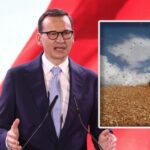 Польща не відкриє кордони для зерна з України: відео заяви премʼєра Моравецького
