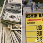 Чи замінить євро долар в Україні: прогноз експерта