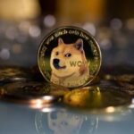 Ціна на мем-криптовалюту Dogecoin зросла майже на 20%