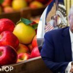 Поки Трамп лютує, Канада відкриває ринок для українських яблук