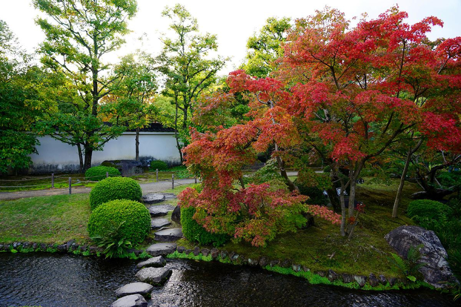 Фото: Roscoe Chui / Shutterstock / FOTODOM