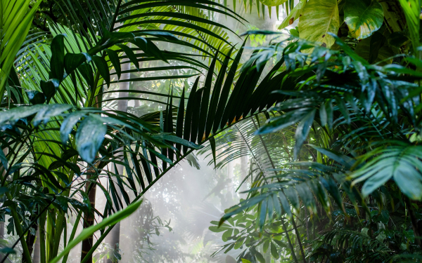 Фото: Shutterstock