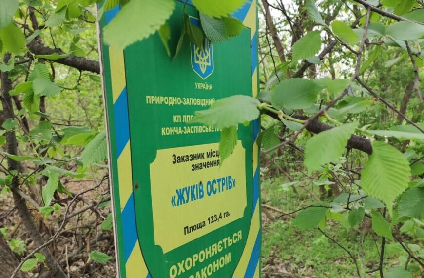 На охоронюваному острові хочуть побудувати сховище для яхт