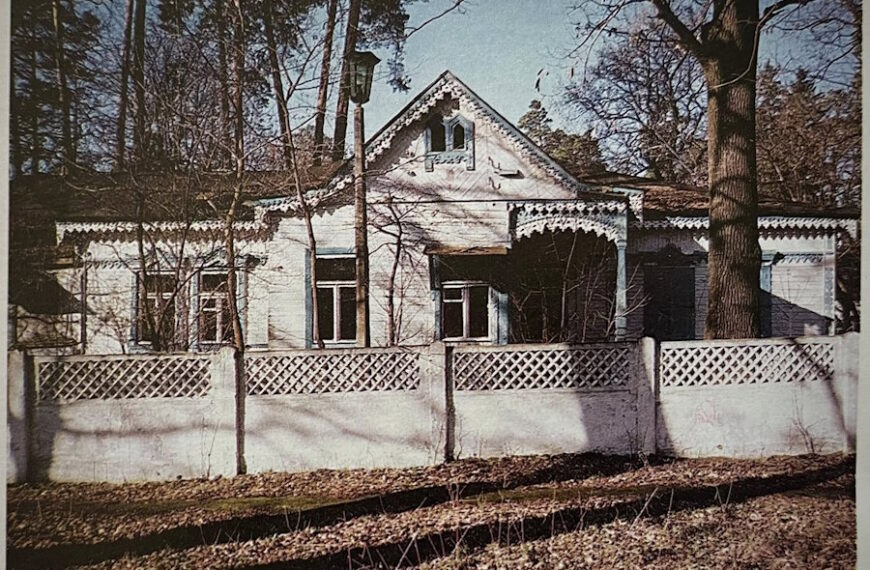 Старий дерев’яний будинок зруйнували на околиці Києва