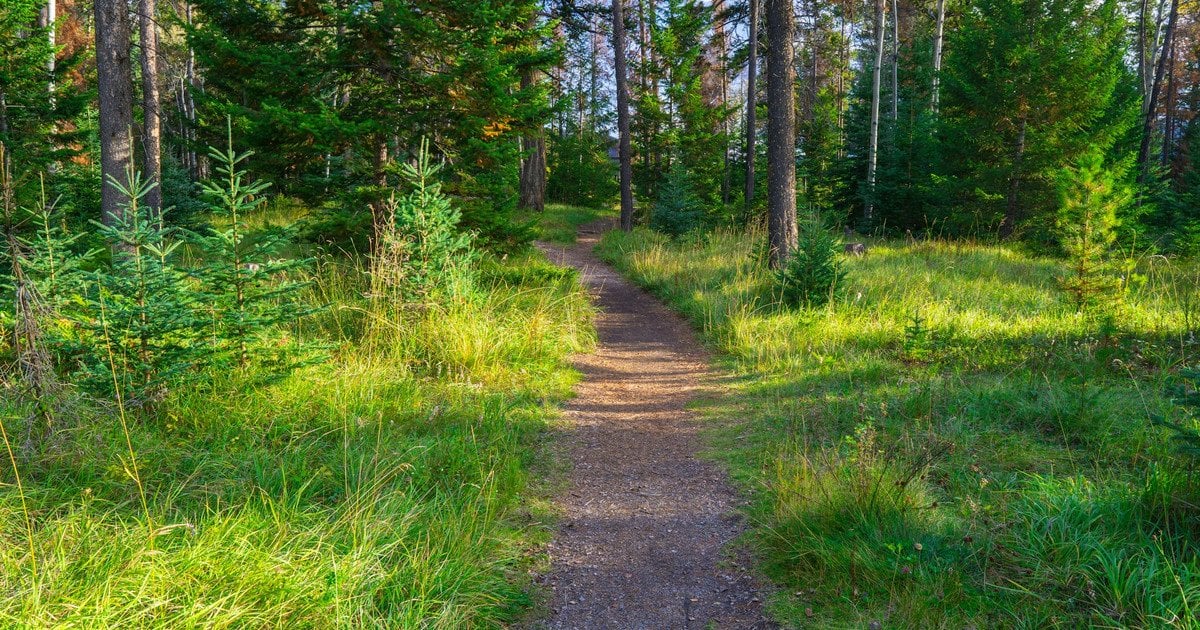 Палац за 41 млн фунтів десятиліттями гниє у лісі: власник скандального маєтку назвав причину (фото)