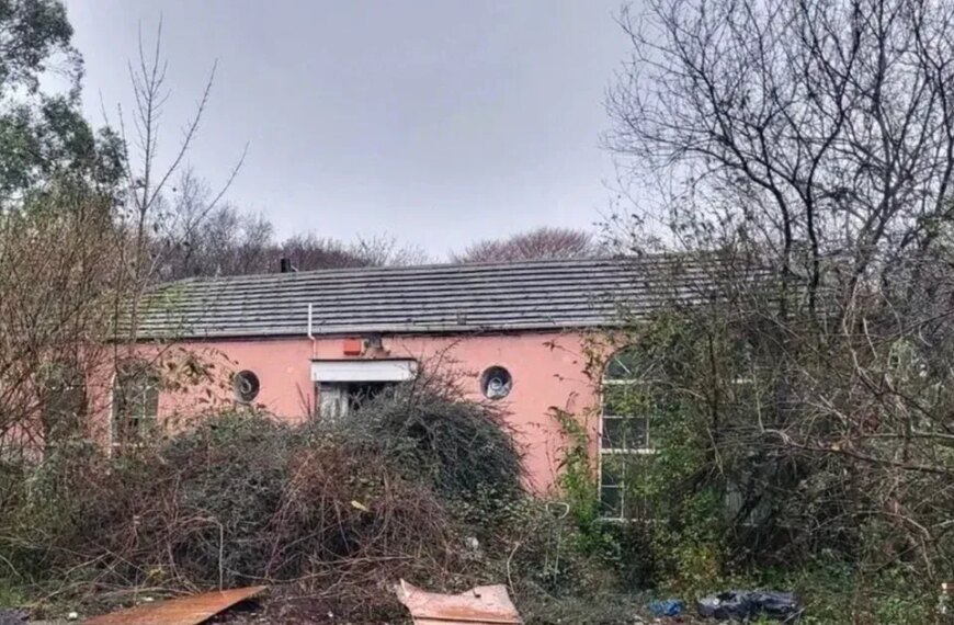 Небачена покупка житла: неймовірна знахідка перетворила долю пари