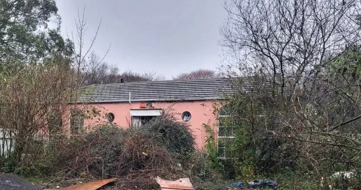 Будинок захований у лісі на острові