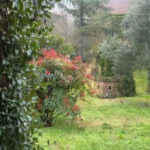 Українка з партнером придбала будинок в італійському селі: огляд помешкання