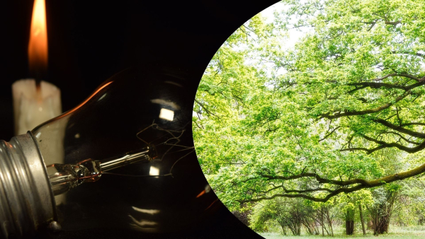 Відключення електрики: чи припинять навесні?