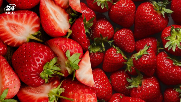 Як підживити суницю навесні для рясного врожаю влітку