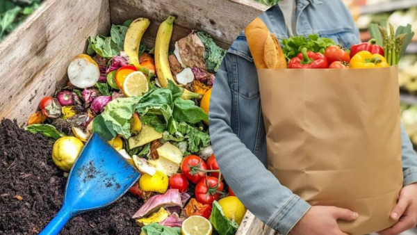 Як уникнути мух у компості