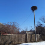 Прогнози: скільки українців планують придбати сільський будинок у 2026-му?