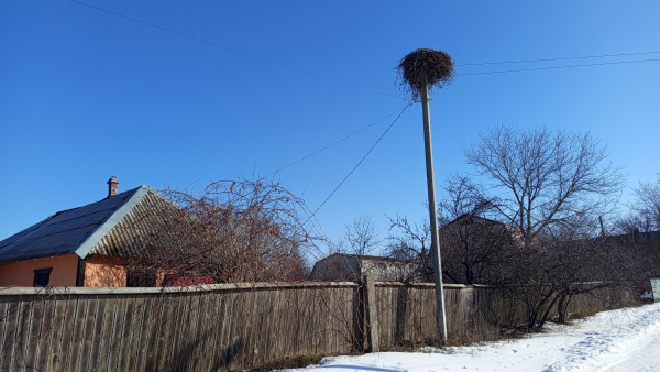 Прогнози: скільки українців планують придбати сільський будинок у 2026-му?
