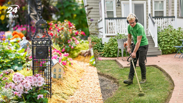 Як зелень розширює простір двору?