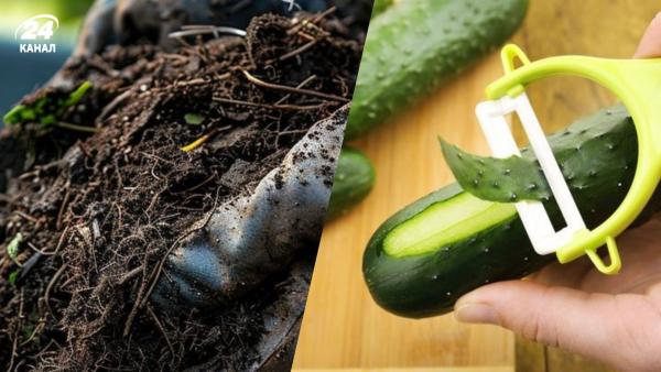 Огіркові лушпиння в саду: методи корисного застосування для підживлення землі