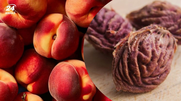 Персикове дерево: посадка, догляд та підживлення