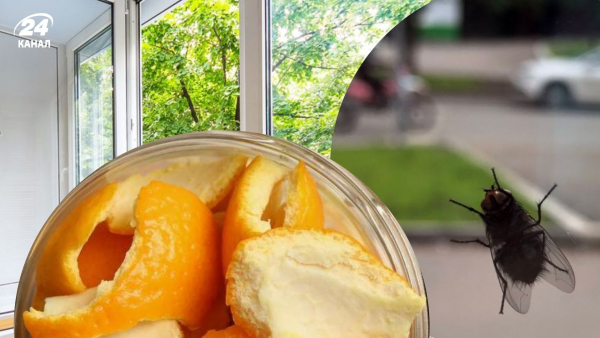 Позбавлення від мух на вікнах: скоринки цитрусових (лимона, апельсина)