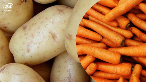 Що посіяти в квітні на городі?