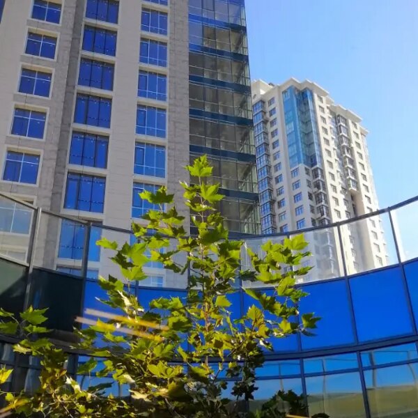 City One Development: результати роботи та огляд ринку новобудов за 2024 рік