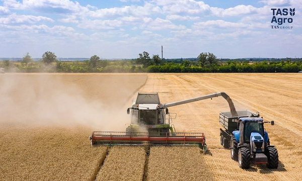 ТАС Агро” завершив збір ранніх зернових та олійних на 33,5 тис. га