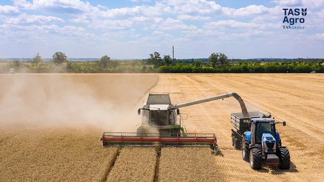 Жнива ранніх зернових та олійних культур
