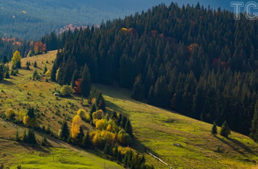 Карпатський будинок за $7200: дивіться, що продають біля “Буковелю”