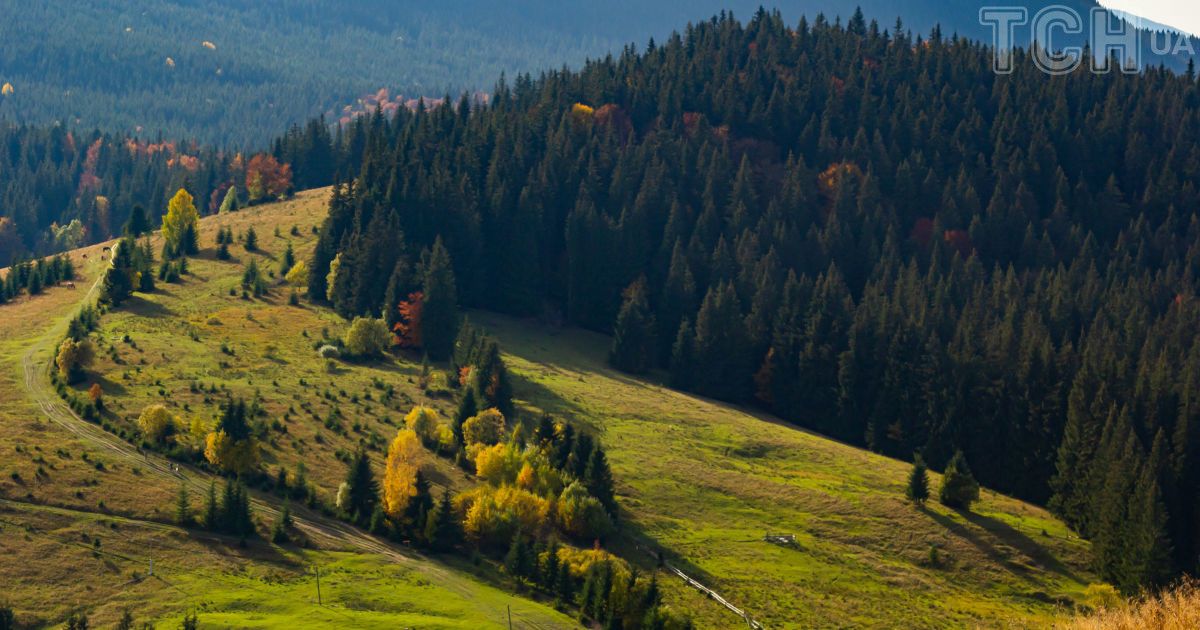 У Карпатах продають будинок за 7200 доларів