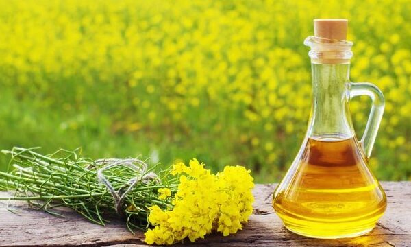 Ріпак: Україна майже втричі збільшила його внутрішню переробку