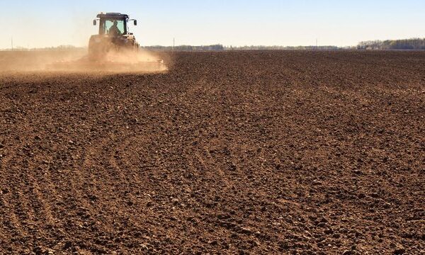 Компенсації за втрачені посіви: Уряд підтримує аграріїв, що постраждали від війни