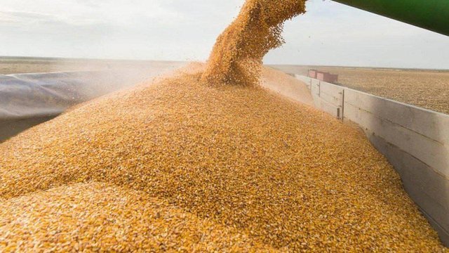 Програму 5-7-9% розширено на аграріїв для поповнення ними обігових коштів