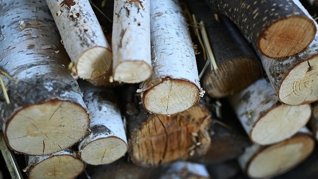 Уряд прагне наростити заготівлю та переробку деревини до 2027 року
