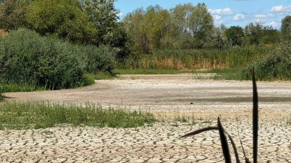 Забудова знищує Чорне озеро в Ужгороді