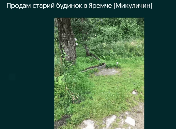 Будинок у Микуличині