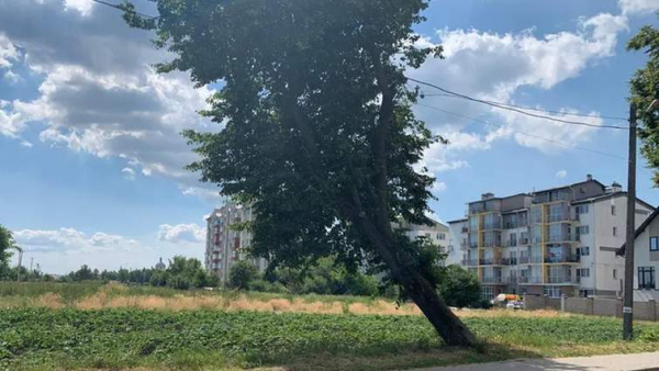 Львівщина: ділянку під новобудову продали за 30 мільйонів