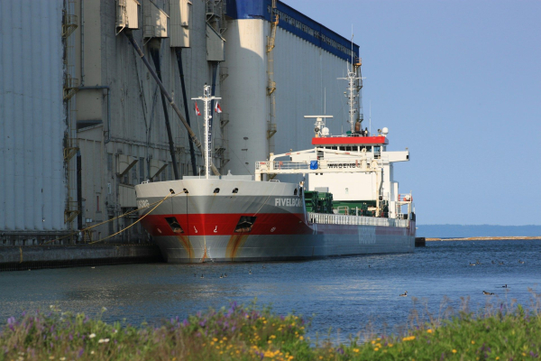 Український агроекспорт зазнав краху: причина падіння на 57%