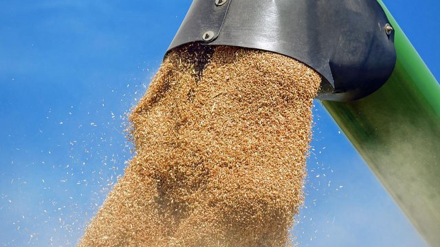 Українські аграрії отримають від 300 мільйонів до 1,2 мільярда євро підтримки щороку після вступу України до ЄС