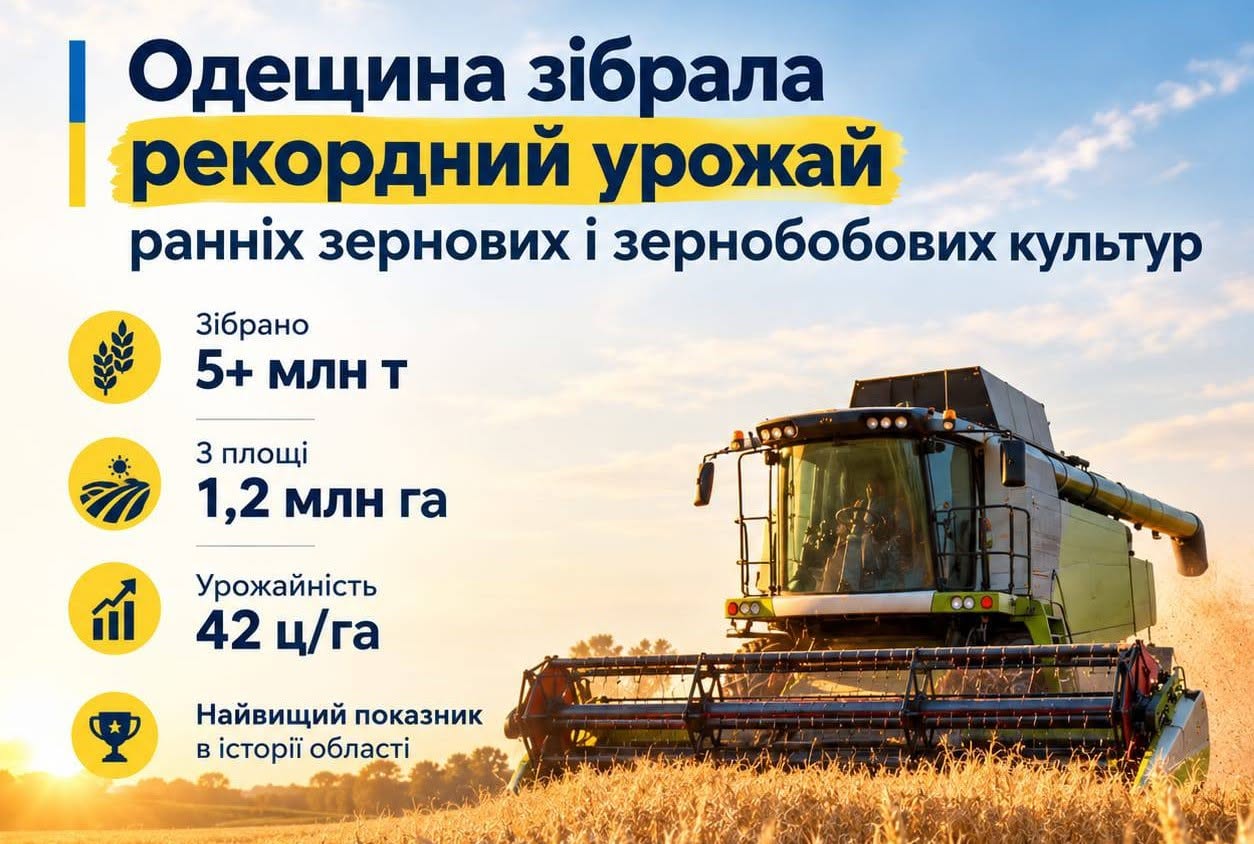 Поле з колоссям пшениці