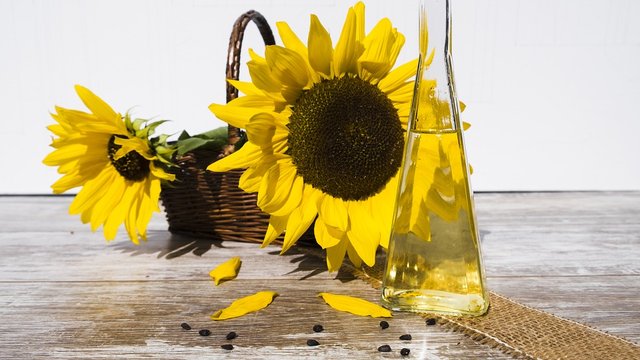 Урожай олійних в Україні очікується на рівні 20 млн тонн