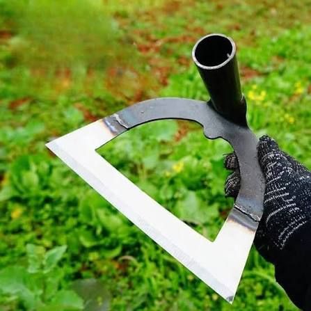 Як європейці ефективно позбуваються бур’янів, щоб не боліла спина